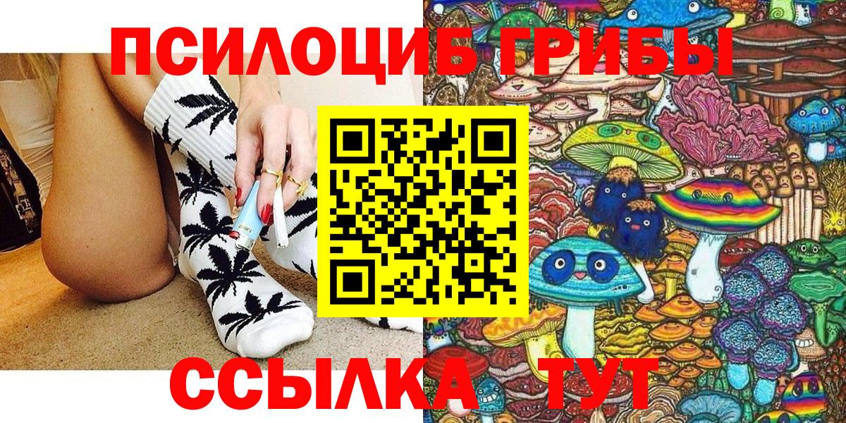 Псилоцибиновые грибы Psilocybine cubensis Петропавловск-Камчатский