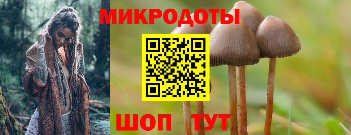 Петропавловск-Камчатский  Псилоцибиновые грибы MAGIC MUSHROOMS  Вход с VPN 